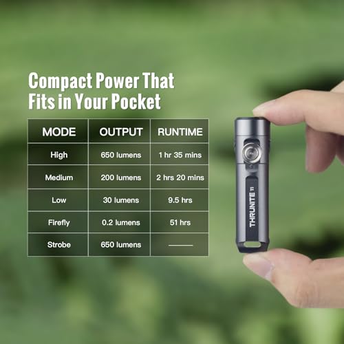 ThruNite Ti Keychain Flashlight, USB-C Rechargeable EDC Pocket Light, 650 Lumens with Magnetic Tailcap, 5 Modes, IPX-6 Waterproof Mini Flashlight for Camping, Everyday Carry (Grey) - color: Grey Cool White
