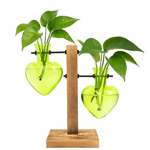 XXXFLOWER Plant Terrarium Propagation Station, Gifts for Mom Daughter Wife Plant Lover, Hydroponic Planter Bulb for Home Office Garden Decoration - 2 Green Love Bulb Vase with Wooden Stand - color: Green