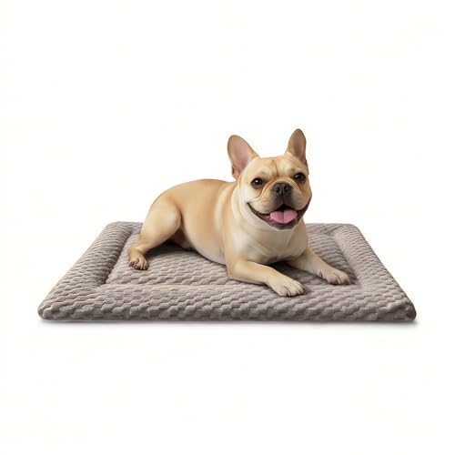 Dog Bed Mat, Dual-Sided Dog Crate Bed Mat - Ultra Soft & Machine Washable Kennel Pad for Small Dogs, All-Season Comfort Pet Bed for Crates, Travel, and Home, Light Brown, 24 x 16 Inch - color: Light Brown, size: Small 24 x 16 x 1.5 in