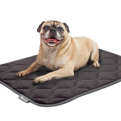 Paw Inspired Washable Padded Crate Mats for Dogs | 29” x 18” Pad, Fits 30-inch Kennels | Leakproof, Waterproof Bottom, Plush Pet Beds (Gray) - color: Gray, size: 30 Inch