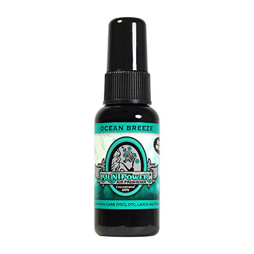 Bluntpower Air Freshener Blunt Power Spray (Ocean Breeze) - color: Ocean Breeze