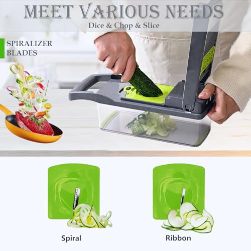 Dewpeton Pro-Series 20-in-1 Mandoline Slicer & Spiralizer, Veggie Chopper with Container, Home Essential Kitchen Gadget - color: Gray, size: 10 Blades