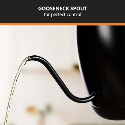 KRUPS Gooseneck Electric Kettle: 1L Stainless Steel, 1350W Fast Boiling, Boils 1 Cup in 80 Seconds, Temperature Control with 8 Presets, 60-Min Keep Warm, Precision Pour for Coffee and Tea - style: Gooseneck Kettle