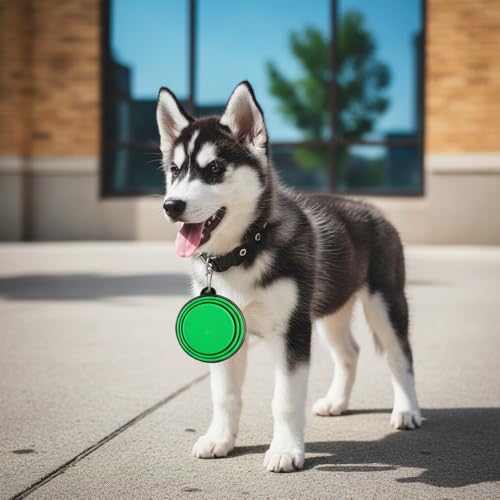 Silicone Foldable Pet Food Water Feeder, Collapsible Travel Bowl for Dog and Cat, Outdoor Portable (Green) - color: Green