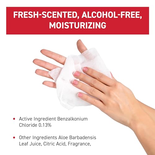 WipeEssentials Hand Sanitizer Wipes for Adults & Kids - 360 Count, 12 Packs | Alcohol-Free, Moisturizing Sanitizing Wipes with Aloe Vera & Vitamin E - Unscented & Travel Size With No Soapy Residue - size: 30 Count (Pack of 12)
