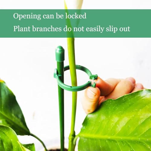 Belit 8 Pack Small Plant Support Plant Stakes, Adjustable Garden Single Stem Support Stake, Planter Support Ring for Orchid, Rose, Peony, Peppers and More, DIY 31.5 inch - size: 31.5Inch