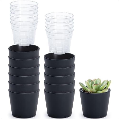 Phoenix Vine 3.5 Inch Black Plastic Cachepot with Clear Nursery Pot, Decorative Lightweight Planter Cover with Transparent Inner Pot for Indoor Houseplants, Pack of 12, 24-A-E-12 - color: Matte Black, size: 3.5" (12 Pack)
