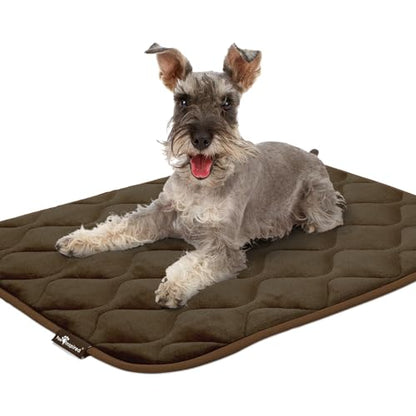 Paw Inspired Washable Padded Crate Mats for Dogs | 35” x 22” Pad, Fits 36-inch Kennels | Leakproof, Waterproof Bottom, Plush Pet Beds (Dark Brown) - color: Dark Brown, size: 36 Inch