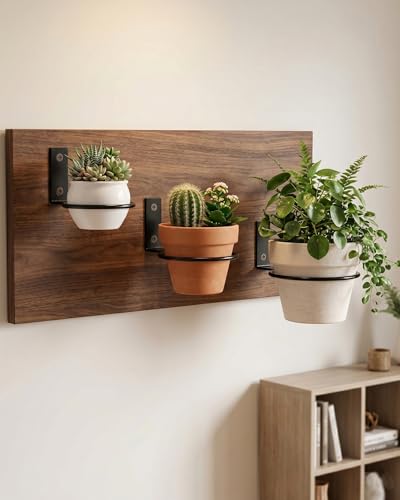 vensovo 6 Pack 8 Inch Wall Mounted Plant Holder - Heavy Duty Metal Flower Pot Hanger Rings - Space Saving Bracket Hooks for Indoor Outdoor Plants Decor, Black - size: 8 Inch