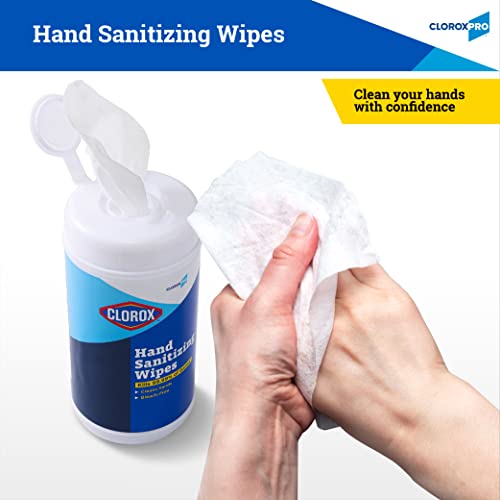 Clorox Pro Alcohol Free Hand Sanitizer Wipes with BZK, Gentle Bleach-Free Sanitizing Wipes for Hands - 0.13% BZK Formula, FDA Registered, Resealable Canister, 100 Count - size: 100 Count (Pack of 1)