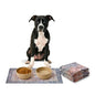 Lovewag Pets Waterproof 2-Pack Pet Feeding Mats - 16" x 24" Premium Cat & Dog Food Mat - Non-Slip, Machine Washable Mat Protects Floors & Contains Water Bowl Spills - Place Mats (Rustic Terracotta) - color: Rustic Terracotta