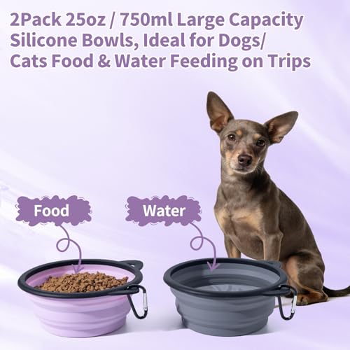 2Pack Silicone Collapsible Dog Bowls, Cute Pet Ear Shape and Cat Graphic Travel Water Bowl Full of Pet Atmosphere 25oz Portable Feeder for Small Large Dog Walking Hiking Camping (Purple and Grey) - color: Purple and Grey