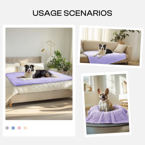 Luciphia Premium Fleece Dog Puppy Blanket Soft Pet Sherpa Calming Cat Blankets Throw for Small Medium Dog Cat(Violet,41x31 inches) - color: Violet, size: 41x31 inches