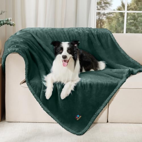 Luciphia Waterproof Pet Blanket, Liquid Pee Proof Dog Blanket for Sofa Bed Couch, Reversible Sherpa Fleece Furniture Protector Cover for Small Medium Large Dogs Cats, Dark Green Large（65" x 57"） - color: Dark Green-thicken, size: L (65" x57")
