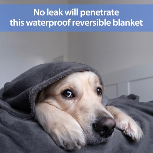 YISURE Waterproof Reversible Blanket for Bed King Size, 90"x80", Stain Proof Leakproof Bed Cover, Washable, Reusable, Protects Beds & Furniture from Spills, Stains & Splashes (Grey/Violet) - color: Grey/Violet, size: 90x80 in