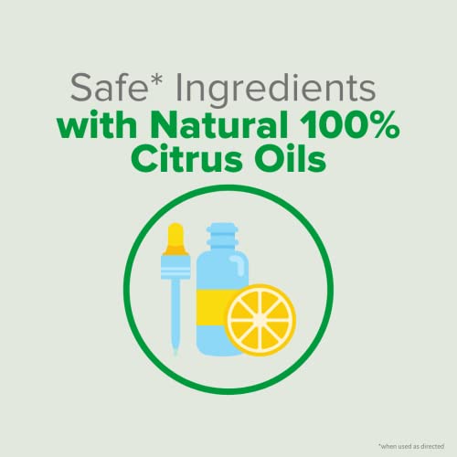 Citrus Magic Natural Odor Eliminating Air Freshener Spray, Fresh Citrus, 3-Ounce (Pack of 4) - size: 3 fluid ounces (Pack of 4)