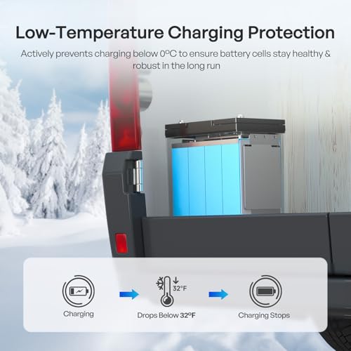 Renogy 200 Watt 12V Complete Solar Panel Starter Kit: 2pcs 100W Solar Panel + 30A Charge Controller + 100Ah Lithium Battery + 600W Premium Solar Inverter for RV Off Grid with Battery and Inverter - size: 200W Complete Kit