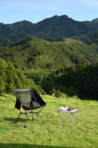 iClimb Ultralight Compact Camping Folding Table with Carry Bag (Silver - S) - color: Silver, size: Small