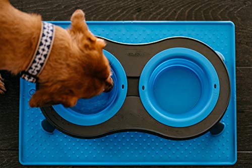 Dexas Pets Double Elevated Pet Feeder, Pro Blue, Small/1 Cup Capacity Bowls (PW1004322194) - color: Pro Blue, size: Small/1 Cup Capacity Bowls