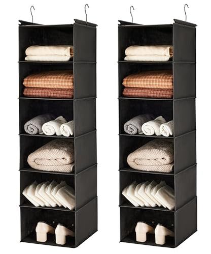 MAX Houser 6 Tier Shelf Hanging Closet Organizer, Closet Hanging Shelf with 2 Sturdy Hooks for Storage, 2 Pack, Foldable (Black) - color: Black-2