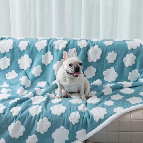 Waterproof Pet Blanket,Dog Bed Covers Small Throw for Puppy Cats Stylish Jacquard Pets Couch Sofa Furniture Protection Washable Reversible Covers (Blue Cloud,XS) - color: Blue Cloud, size: XS-50*70cm(20*28in)