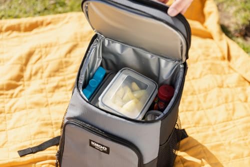 Igloo Maxcold Ice Block - color: 2PK Large