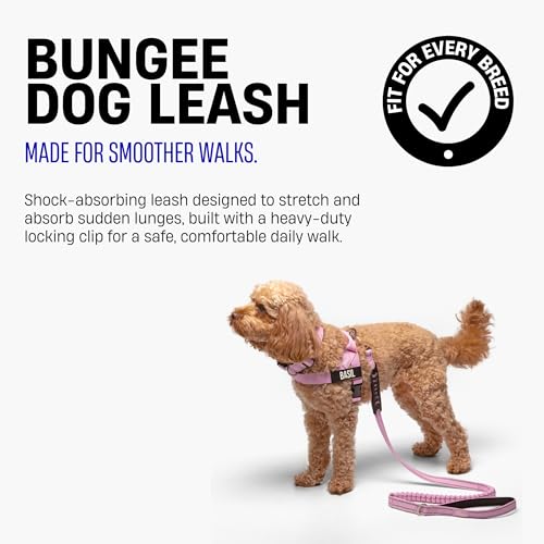 Dog Friendly Co. Bungee Dog Leash | Strain Free & Shock Resistant for Control | Neoprene Padded Handle, Heavy-Duty Carabiner Clip, and D-Ring | Grey Camo, Size Regular - color: Grey Camo, size: Regular