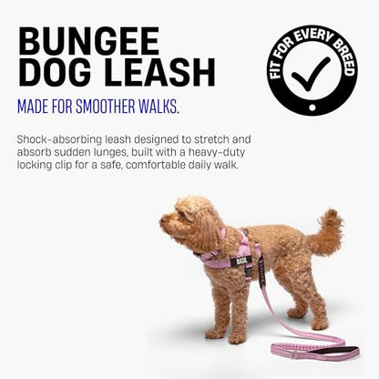 Dog Friendly Co. Bungee Dog Leash | Strain Free & Shock Resistant for Control | Neoprene Padded Handle, Heavy-Duty Carabiner Clip, and D-Ring | Classic Blue, Size Small - color: Classic Blue, size: Small
