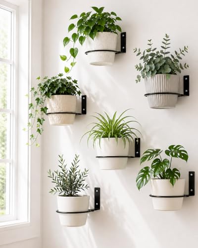 vensovo 6 Pack 8 Inch Wall Mounted Plant Holder - Heavy Duty Metal Flower Pot Hanger Rings - Space Saving Bracket Hooks for Indoor Outdoor Plants Decor, Black - size: 8 Inch