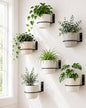 vensovo 6 Pack 8 Inch Wall Mounted Plant Holder - Heavy Duty Metal Flower Pot Hanger Rings - Space Saving Bracket Hooks for Indoor Outdoor Plants Decor, Black - size: 8 Inch