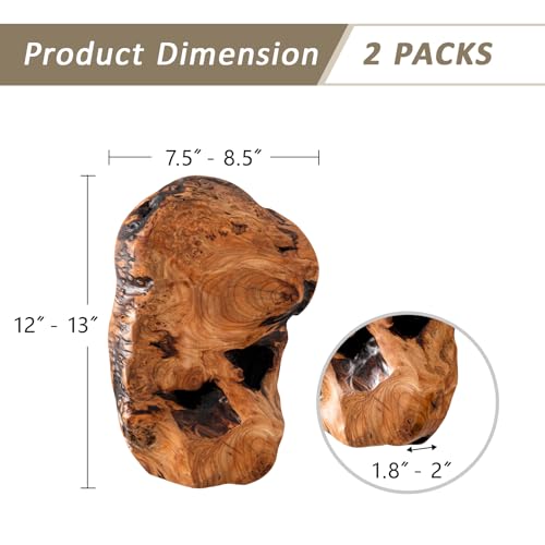 JOLLYMER 2-Pack Cedar Wood Live Edge Wall Vases – Natural Edge Hanging Flower Vase, Organic Root Carved, Rustic Home Décor, Handcrafted Wall Mounted Wooden Vase (Flowers Not Included)