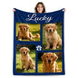 Custom Dog Blanket with Photo, Personalized Pet Memorial Gift, Personalized Pets Pictures Blanket with Name, Pet Lover Pets Memorial Gifts for Dogs, Customized Puppy Bereavement Passing Away Gifts - color: Design15
