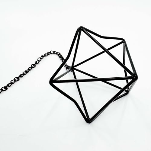 Clearance 6 Pack Hanging Metal Air Plant Holders with Chain, Black Geometric Tillandsia Air Plant Hanger Cages, 2 Styles Mini Iron Air Plants Live Holders for Home Office Garden Decor