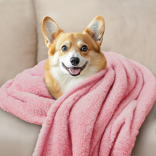 Luciphia 1 Pack 3 Calming Dog Blanket Fluffy Premium Fleece Pet Blankets Soft Sherpa Throw for Dogs Puppy Cat Pink Large (41" x31") - color: Pink, size: Large (Pack of 3)