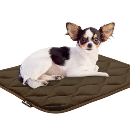 Paw Inspired Washable Padded Crate Mats for Dogs | 23" x 17" Pad, Fits 24-inch Kennels | Leakproof, Waterproof Bottom, Plush Pet Beds (Dark Brown) - color: Dark Brown, size: 24 Inch