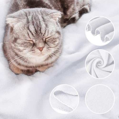 Buryeah 10 Pcs Fleece Blanket Bulk Soft Warm Fleece Blankets Cozy Lightweight Throw Blankets Plush Pet Throw Blanket for Home Bed Sofa Office Wedding Gifts Travel(50" X 60",White) - color: White
