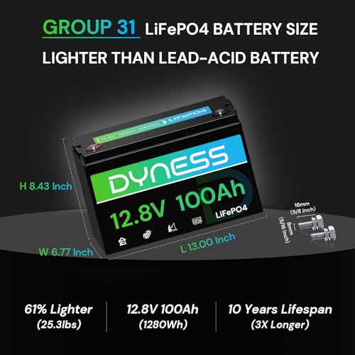 Dyness 12V 100Ah LiFePO4 Lithium Battery (4 Pack) BCI Group 31 with Low-Temp Protection, A+ Grade Cell Built-in 100A BMS, 12 Volt Lithium Battery Perfect for RV, Solar System, Off-Grid, Home Energy - style: 12V 100Ah Group 31(4 Pack)