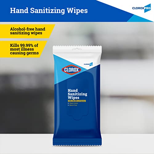 Clorox Pro Alcohol Free Hand Sanitizer Wipes with BZK, Gentle Bleach-Free Sanitizing Wipes for Hands - 0.13% BZK Formula, FDA Registered, Resealable Travel Pouch, 20 Count - size: 20 Count (Pack of 1)