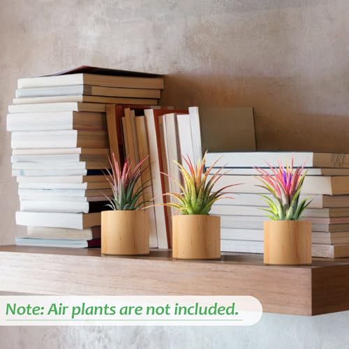 Bigmeta 3 Pcs Wood Air Plant Holder, 1.4" Rustic Style Airplant Display Stands for Women Gifts