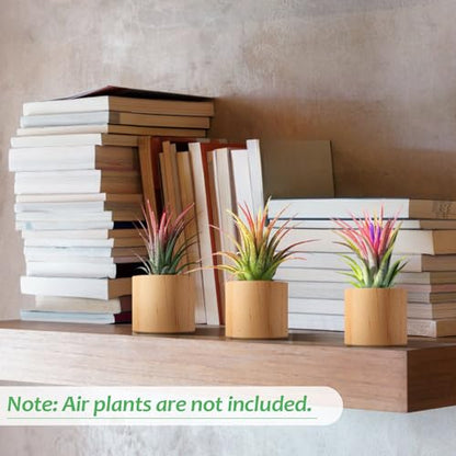 Bigmeta 3 Pcs Wood Air Plant Holder, 1.4" Rustic Style Airplant Display Stands for Women Gifts