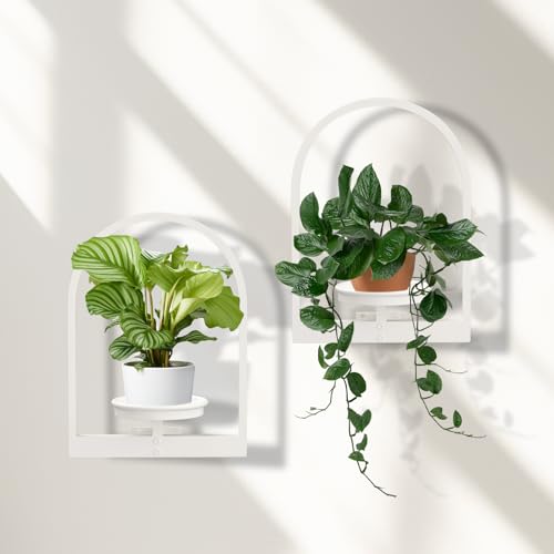 Wall Planters for Indoor Plants Window Plant Shelves Set of 2, White Wall Plant Holder - Premium Metal Hanging Plant Holder for Indoor Outdoor Decor - size: 2-Pack White (semi-round)