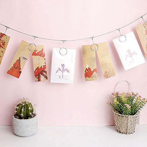 TFu Wall Hanging Photo Display, DIY Picture Photo Frame String with 12 Clips for Hanging Photos Notes and Artworks (Round Shape Clip) - size: Round shape clip