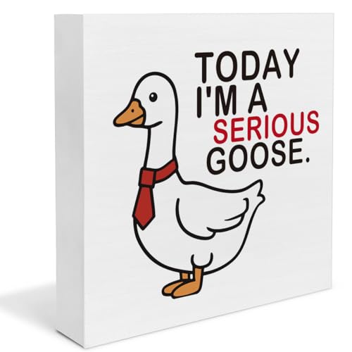 Silly Goose Decor for Coworkers Leader Manager Boss, Today I'm a Serious Goose Wooden Sign, Funny Office Cubicle Decor for Desk Shelf - color: TODAY