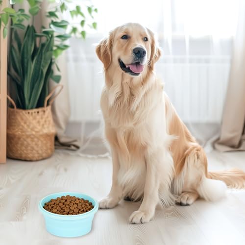2pcs Collapsible Dog Bowls, Silicone Food & Water Travel Bowl with Lid Portable Expandable Pet Feeding & Drinking Cup/Saucer for Walking, Kennels, and Camping 350ml (Blue) - color: Blue