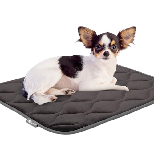 Paw Inspired Washable Padded Crate Mats for Dogs | 23” x 17” Pad, Fits 24-inch Kennels | Leakproof, Waterproof Bottom, Plush Pet Beds (Gray) - color: Gray, size: 24 Inch