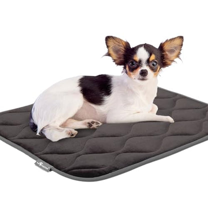 Paw Inspired Washable Padded Crate Mats for Dogs | 23” x 17” Pad, Fits 24-inch Kennels | Leakproof, Waterproof Bottom, Plush Pet Beds (Gray) - color: Gray, size: 24 Inch