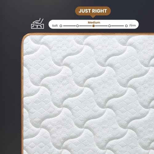 10 Inch Twin Mattress,Twin Size Mattress in a Box, Modern New Memory Foam Hybrid Mattresses, Pillow Top Bed Matress with Breathable Comfortable for Sleep, RV Medium Firm for Lumbar Support - size: Twin 1