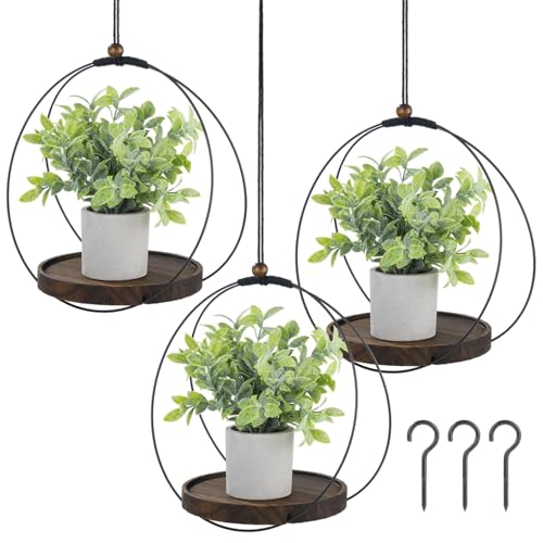 3 Pcs Hanging Plant Shelf, Round Wood Base with Black Metal Frame, Plant Holder with Adjustable Rope for Living Room, Balcony, Bedroom, Indoor Plant Display