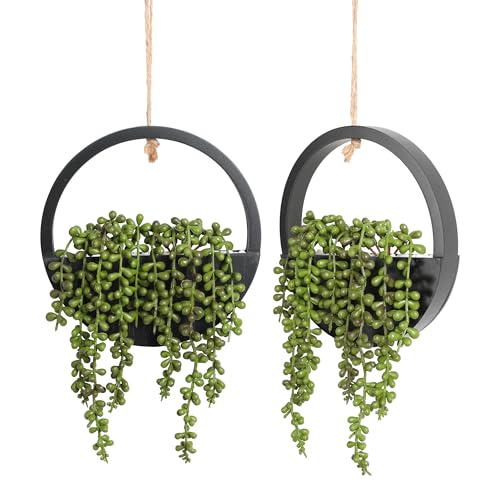Floweroyal 2pcs Artificial Succulents Hanging Plants 12.2'' Fake String of Pearls in Pot with 8.3'' Lanyard for Indoor Outdoor Wall Decor (Black). - color: Type1-black-2pcs