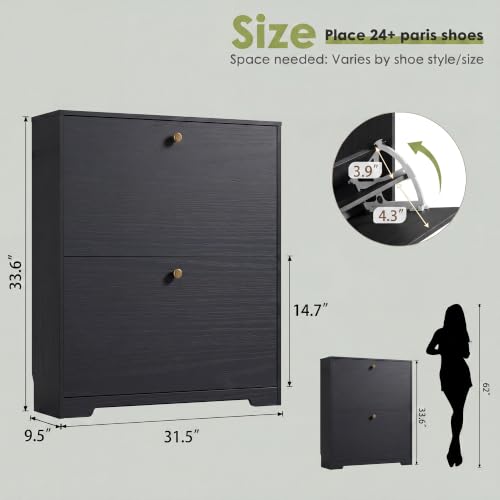 Nicetree Shoe Cabinet with 2 Flip Drawers, Narrow Shoe Organizer Cabinet, Freestanding Shoe Rack Cabinet, Modern Shoe Storage Cabinet for Entryway, Hallway, Foyer, Black - color: Black, style: 2-Drawers